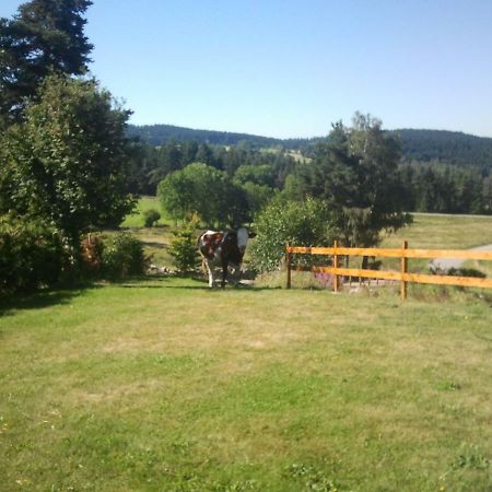 Ressourcez Vous En Pleine Nature! Saint-Regis-du-Coin Luaran gambar